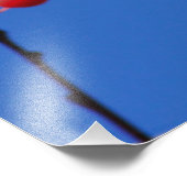 Kansas Fox Tail Squirrel Foto Poster. Foto Afdruk (Hoek)