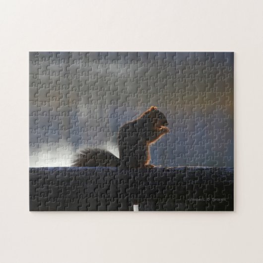 Kansas Fox Tail Squirrel Jigzaadpuzzel Legpuzzel (Horizontaal)