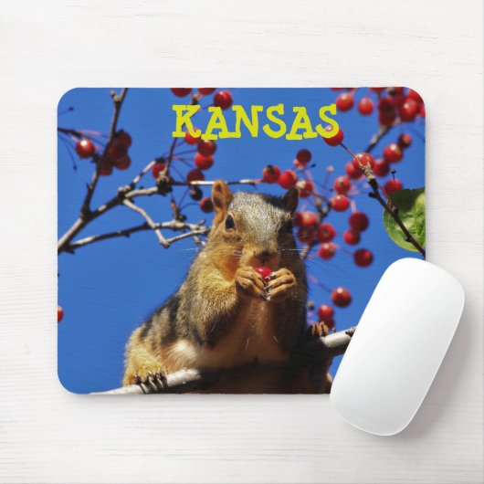 Kansas Fox Tail Squirrel Muismat (Met muis)