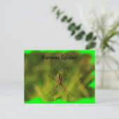 Kansas Garden Spider POST CARD Briefkaart (Staand voorkant)