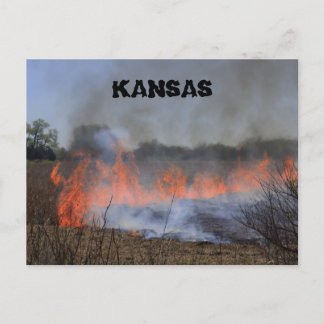 Kansas Grass Burning voor nieuwe Plant Life Post C Briefkaart