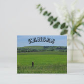 Kansas Green Meadow POST KAART (Staand voorkant)