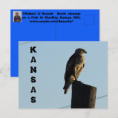 Kansas Hawk op een Kaart van Pole Closeup Post. (Voorkant / Achterkant)