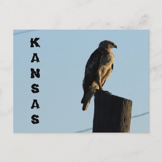 Kansas Hawk op een Kaart van Pole Closeup Post. (Voorkant)
