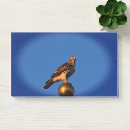 Kansas Hawk op een vlaggenstok Post-it® Notes (Kantoor)