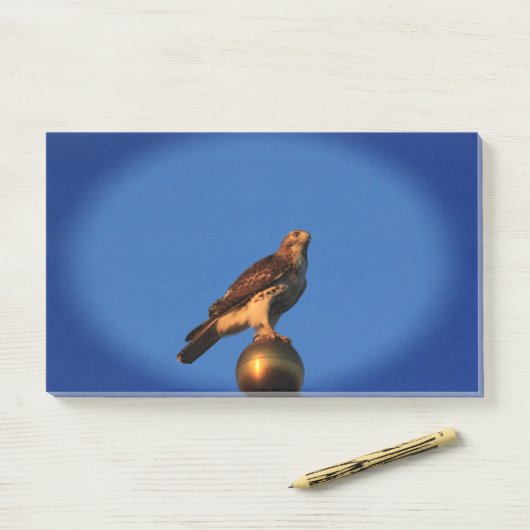 Kansas Hawk op een vlaggenstok Post-it® Notes (Op bureau)