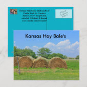 Kansas Hay Bale's Post Card Briefkaart (Voorkant / Achterkant)