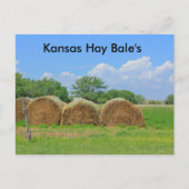Kansas Hay Bale's Post Card Briefkaart (Voorkant)