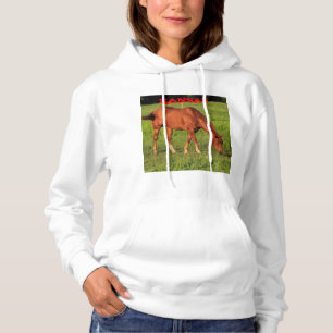 Kansas Horse in een Pasture Woman's Hoodie