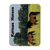 Kansas Horses in een weiland Magneet (Verticaal)