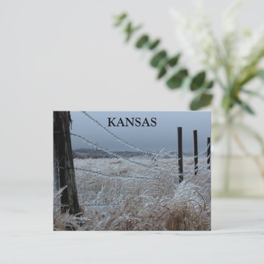 Kansas Ice op een hek Briefkaart (Staand voorkant)