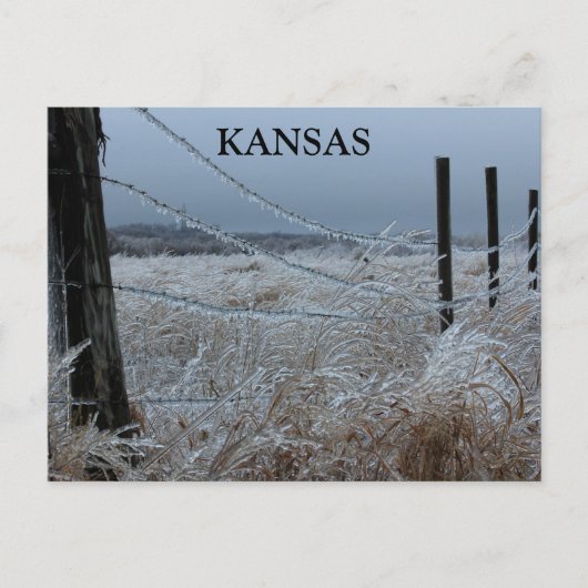 Kansas Ice op een hek Briefkaart (Voorkant)