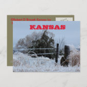 Kansas Icy Fence Post Card Briefkaart (Voorkant / Achterkant)