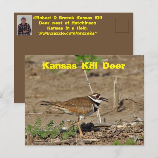 Kansas Kill Deer in een KAART van het Gebied POST. (Voorkant / Achterkant)