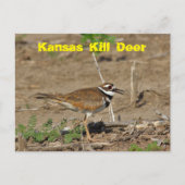 Kansas Kill Deer in een KAART van het Gebied POST. (Voorkant)