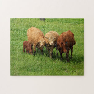 Kansas Koeien in een weide puzzel