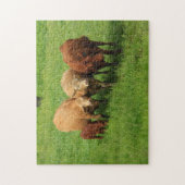 Kansas Koeien in een weide puzzel (Verticaal)