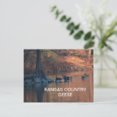 KANSAS LAND GEESE Briefkaart (Staand voorkant)
