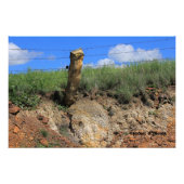 Kansas Landschap met Stone Post Photo Enlargement Foto Afdruk (Voorkant)