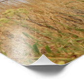 Kansas Limestone Fence Foto Afdruk (Hoek)