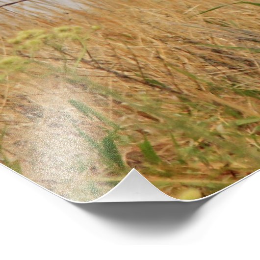 Kansas Limestone Fence Foto Afdruk (Hoek)