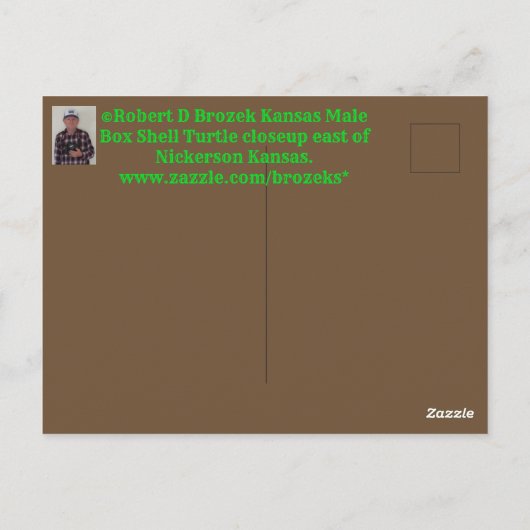 Kansas Male Box Shell Briefkaart (Achterkant)