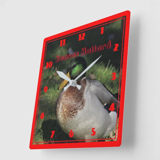 Kansas Mallard Square Wall klok (Hoek)