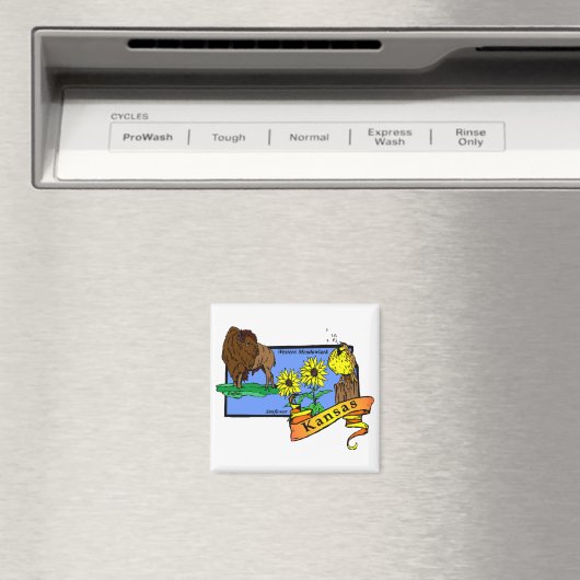 Kansas Map 2 Magneet (Insitu (Vaatwasser))