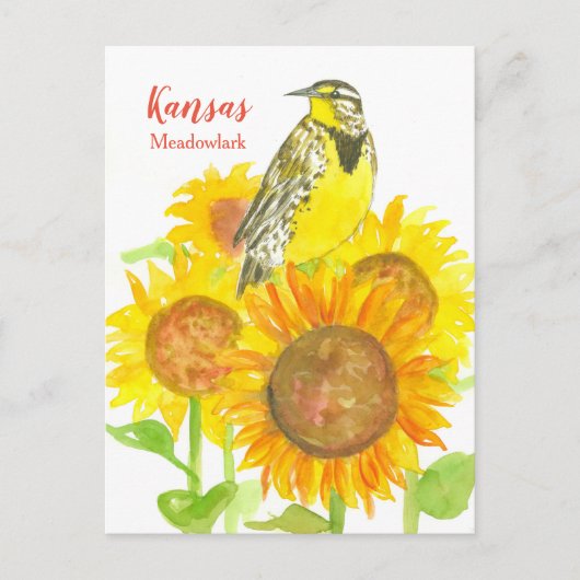 Kansas Meadowlark Zonnebloemen Briefkaart (Voorkant)