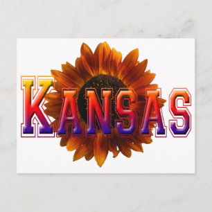 Kansas met zonnebloem briefkaart