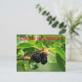 Kansas Mulberry's Closeup Post Kaart (Staand voorkant)