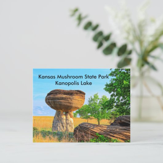 Kansas Mushroom State Park Kanopolis POST CARD Briefkaart (Staand voorkant)
