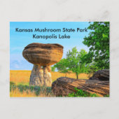 Kansas Mushroom State Park Kanopolis POST CARD Briefkaart (Voorkant)