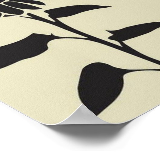 Kansas National Parks Infographic Map Poster (Hoek)