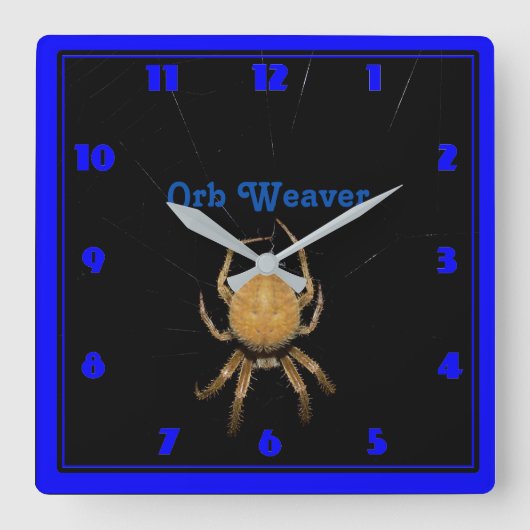 Kansas Orb Weaver Square Clock Vierkante Klok (Voorkant)