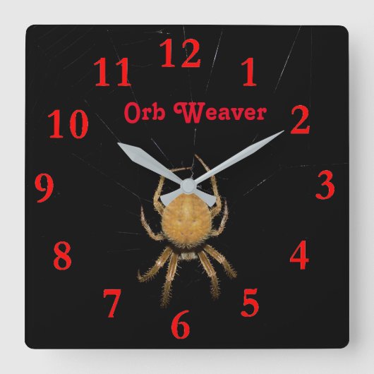 Kansas Orb Weaver Square Clock Vierkante Klok (Voorkant)