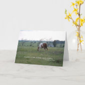 Kansas Paint Horse Kaart (Gele Bloem)