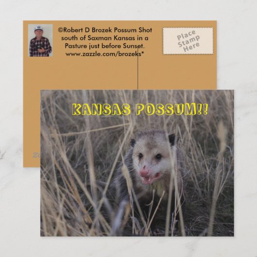 Kansas Possum Post Card. Briefkaart (Voorkant / Achterkant)