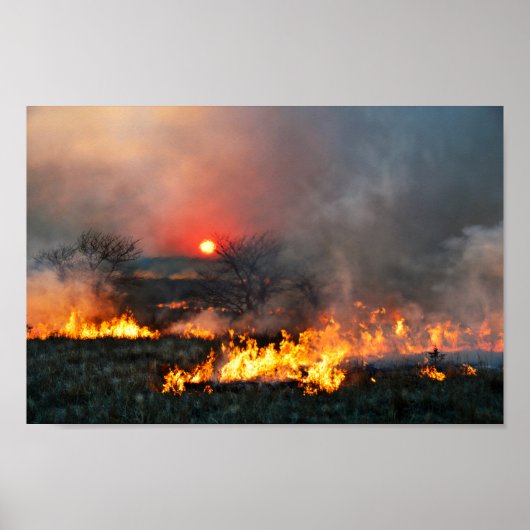 Kansas Prairie Burn op Sunset Poster (Voorkant)