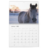 Kansas Prairie Life Calendar Kalender (Jan 2027)