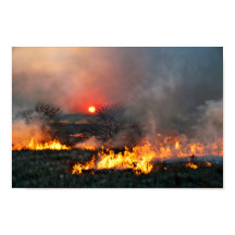 Kansas Prairiebrand bij zonsondergang