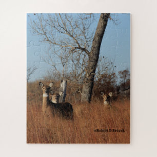 Kansas Quivira Wildlife Whitetail Deer Puzzle Legpuzzel