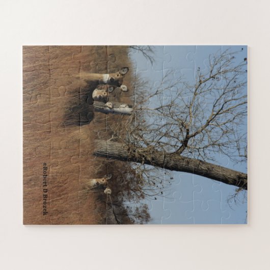 Kansas Quivira Wildlife Whitetail Deer Puzzle Legpuzzel (Horizontaal)