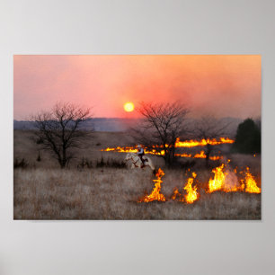 Kansas Rancher controleert brandlijn Poster