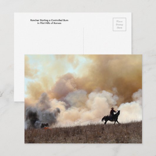 Kansas Rancher die een gecontroleerde brand begint Briefkaart (Voorkant / Achterkant)