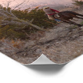 Kansas Rancher kijkt naar een gecontroleerde Prair Poster (Hoek)