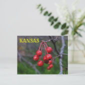 Kansas Red Berries closeup Post Kaart (Staand voorkant)