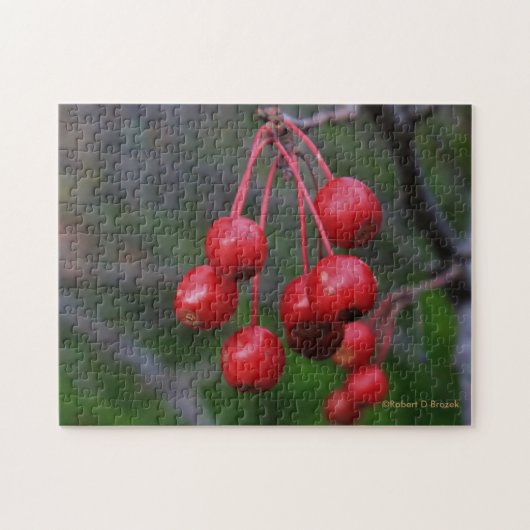 Kansas Red Berries closeup Puzzle Legpuzzel (Horizontaal)