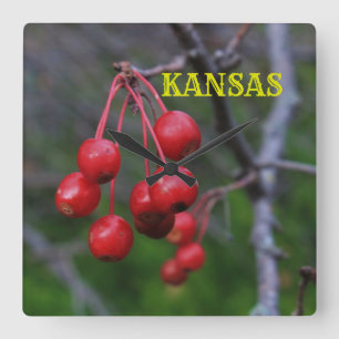 Kansas Red Cherry's closeup Square Wall Clock Vierkante Klok