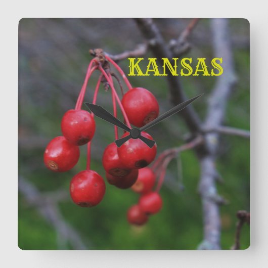 Kansas Red Cherry's closeup Square Wall Clock Vierkante Klok (Voorkant)